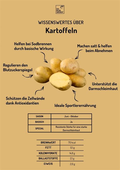 Rübe Vs. Kartoffel Nährstoffe